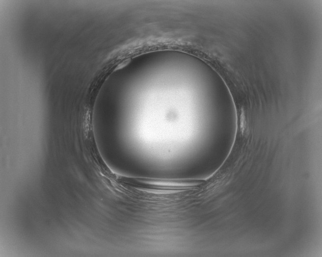 X0000071331492200606301547