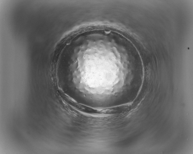 X0000071331494200606301547