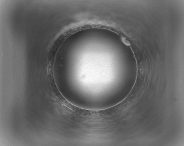 X0000071331495200606301547