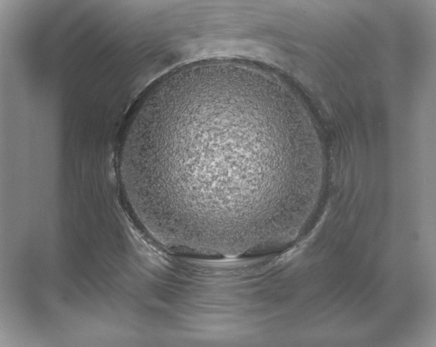 X0000071331497200606301547