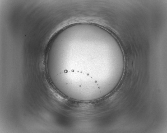 X0000071331498200606301547