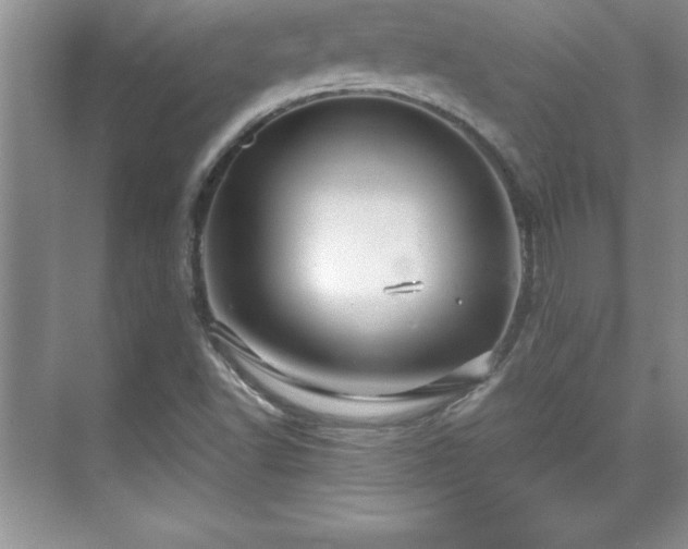 X0000071331502200606301547