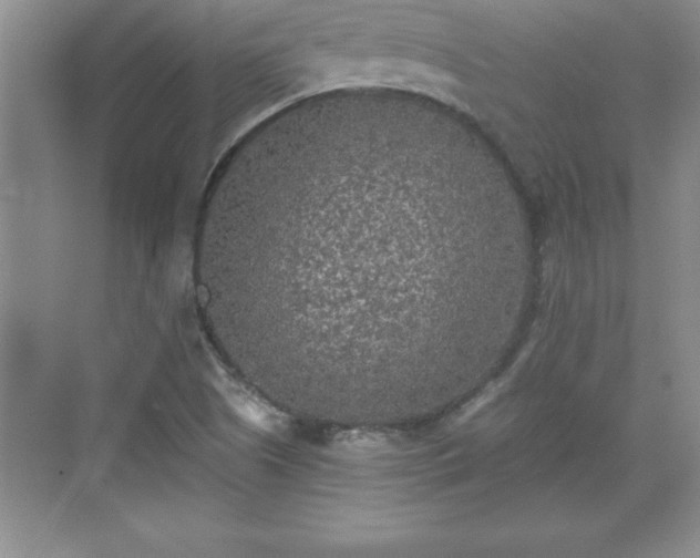 X0000071331505200606301547