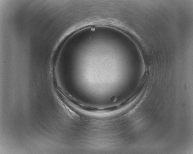 X0000071331506200606301547