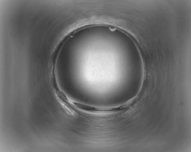 X0000071331507200606301547