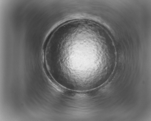 X0000071331509200606301547