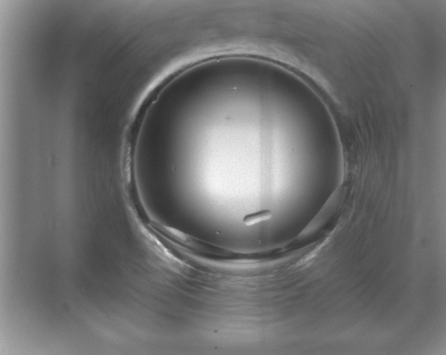 X0000071331510200606301547