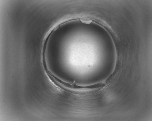 X0000071331512200606301547