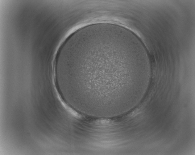 X0000071331515200606301547