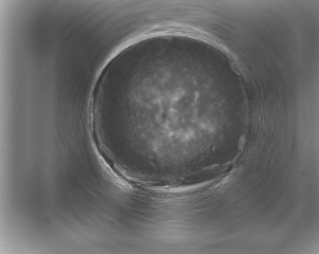 X0000071331522200606301547