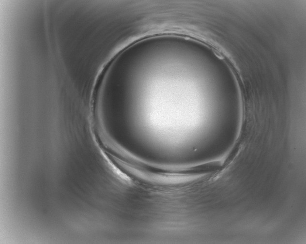 X0000071331525200606301547