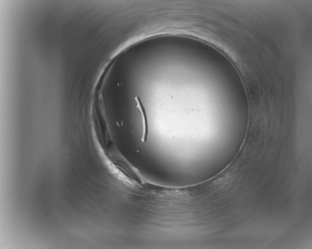 X0000071331526200606301547