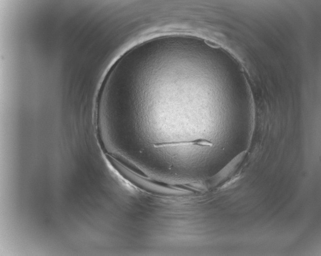 X0000071331527200606301547