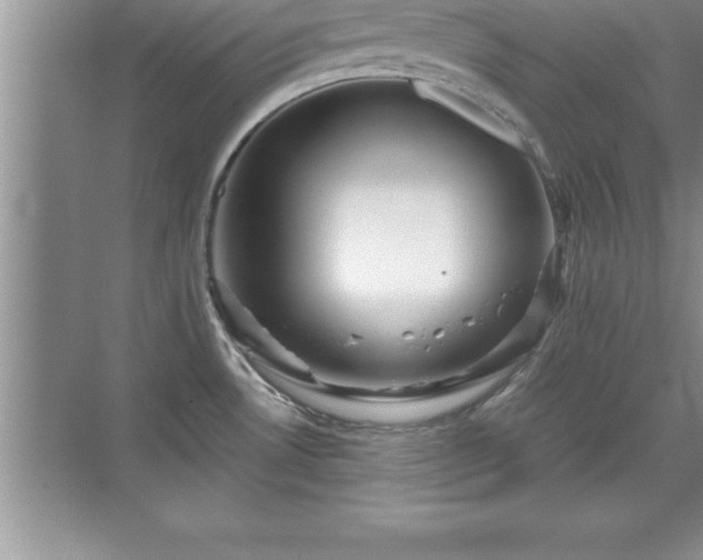 X0000071331530200606301547