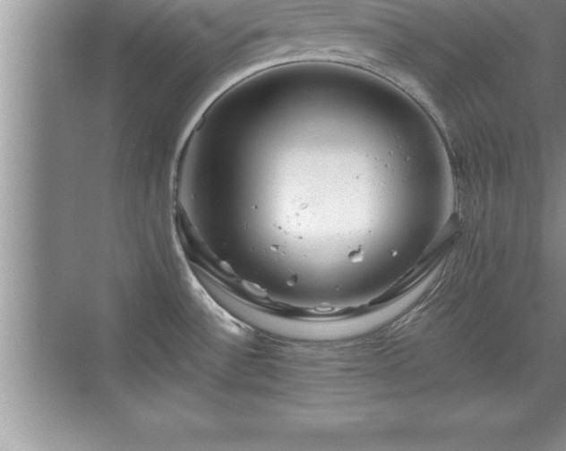 X0000071331532200606301547