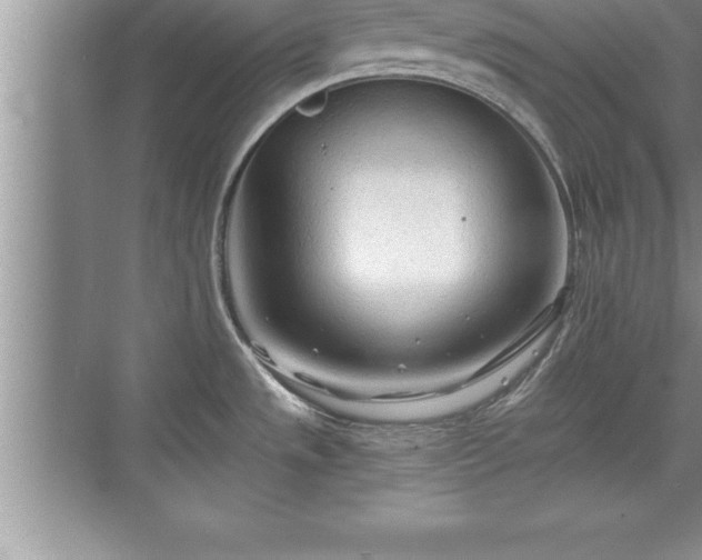 X0000071331533200606301547