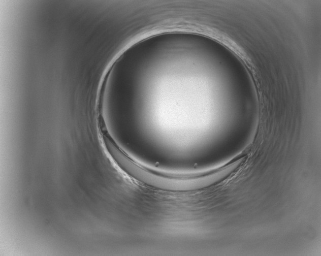 X0000071331536200606301548