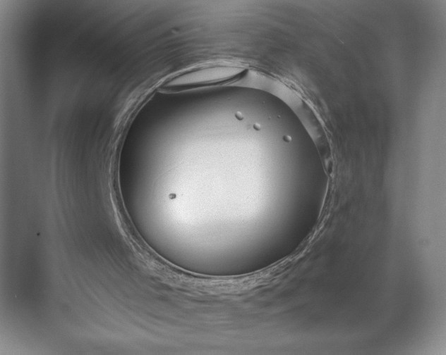 X0000071330001200607071644