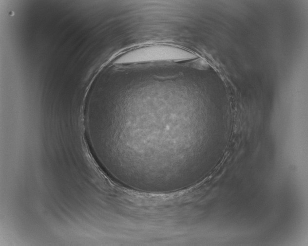 X0000071330002200607071644