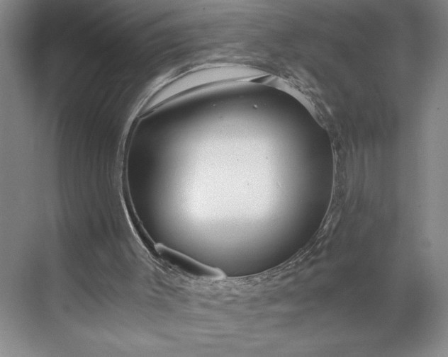 X0000071330003200607071644