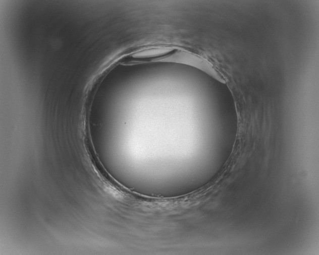 X0000071330005200607071644