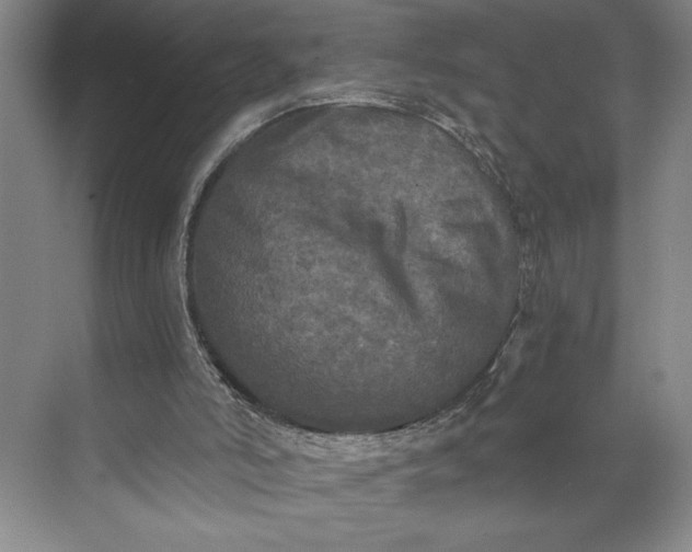 X0000071330006200607071644