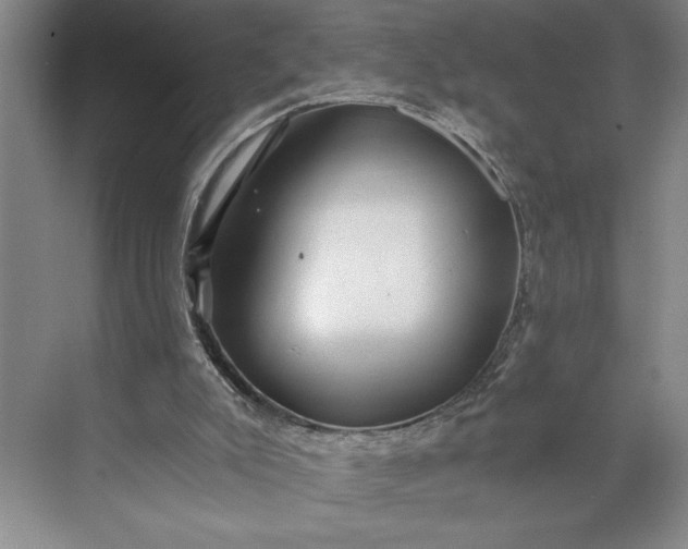 X0000071330007200607071644