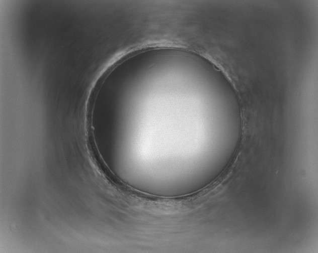 X0000071330008200607071644