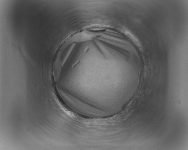 X0000071330009200607071644