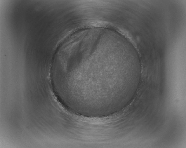 X0000071330010200607071644