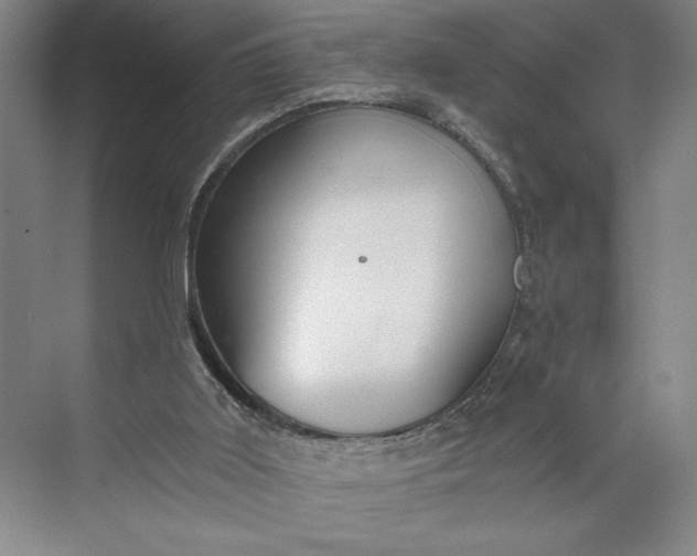 X0000071330011200607071644