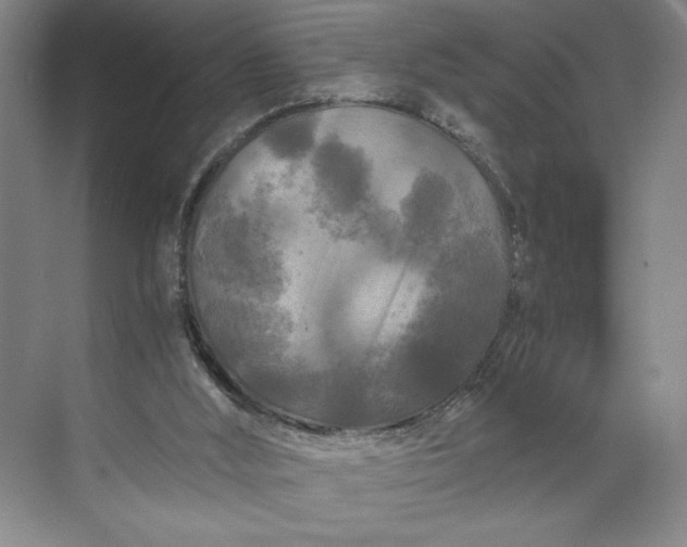 X0000071330012200607071644