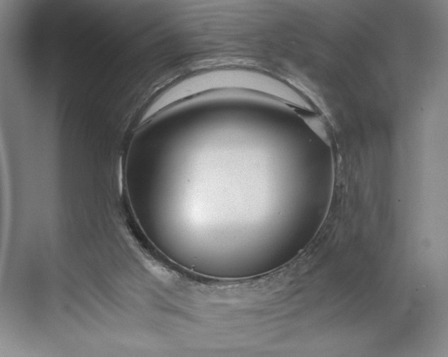 X0000071330013200607071644