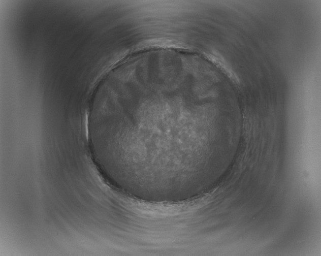 X0000071330014200607071644