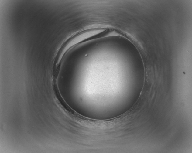 X0000071330015200607071644