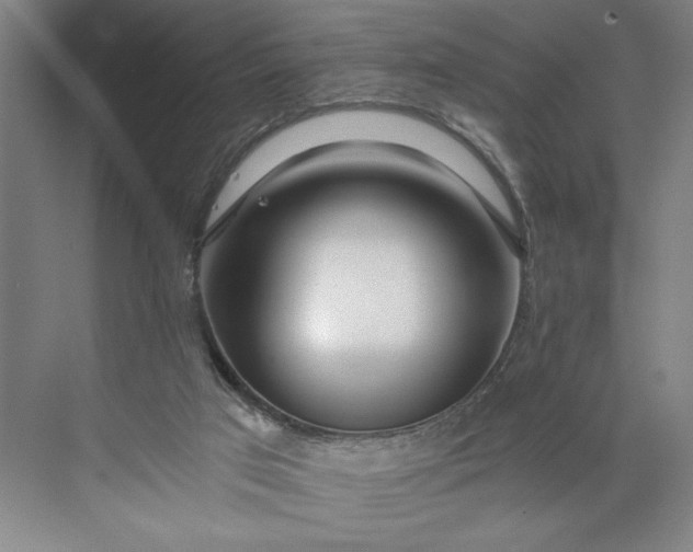 X0000071330017200607071644