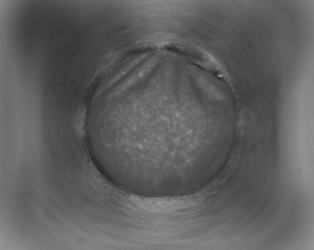 X0000071330018200607071644