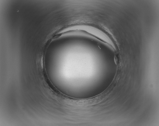 X0000071330019200607071644