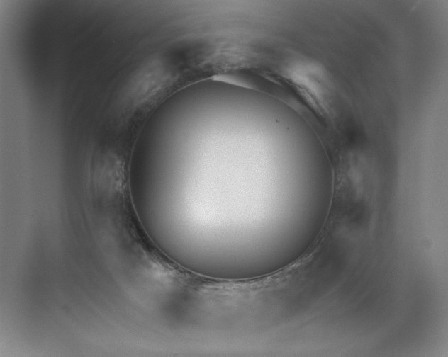 X0000071330025200607071644