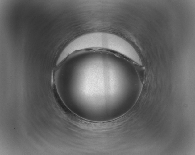 X0000071330027200607071644