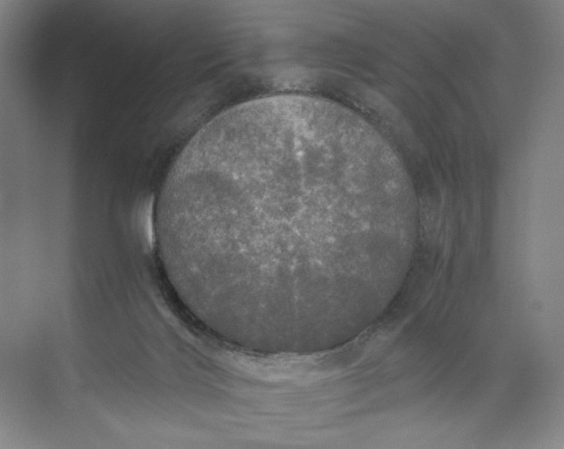 X0000071330028200607071644