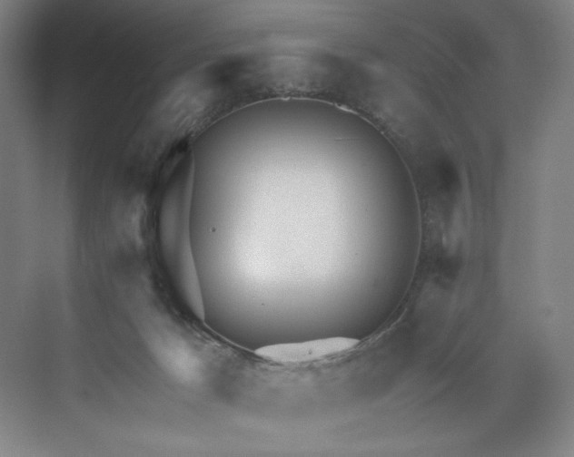 X0000071330029200607071644