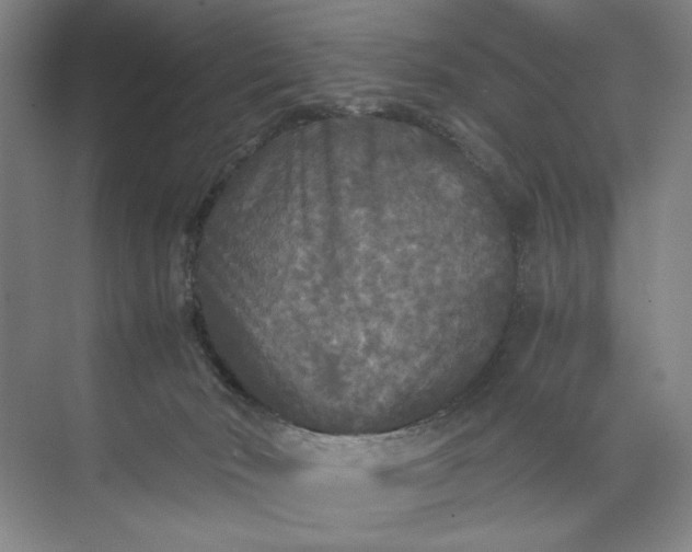 X0000071330030200607071644