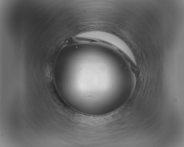 X0000071330031200607071644