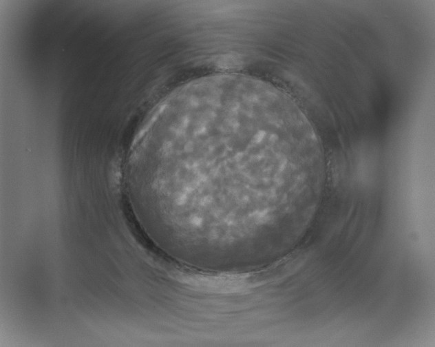 X0000071330032200607071644