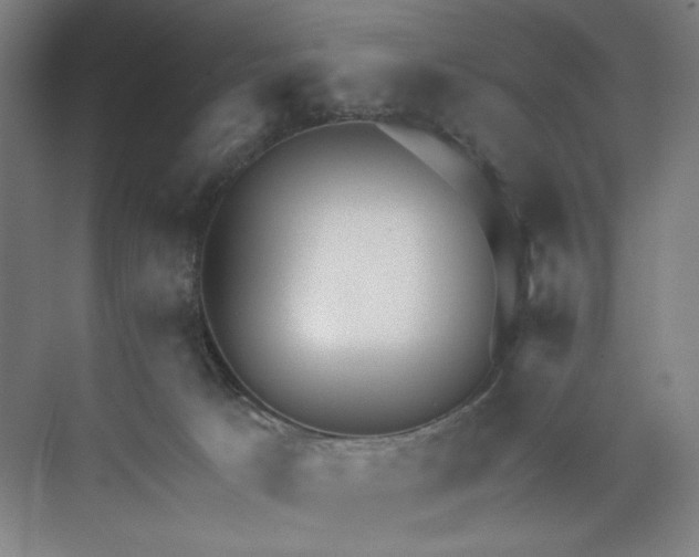 X0000071330033200607071644