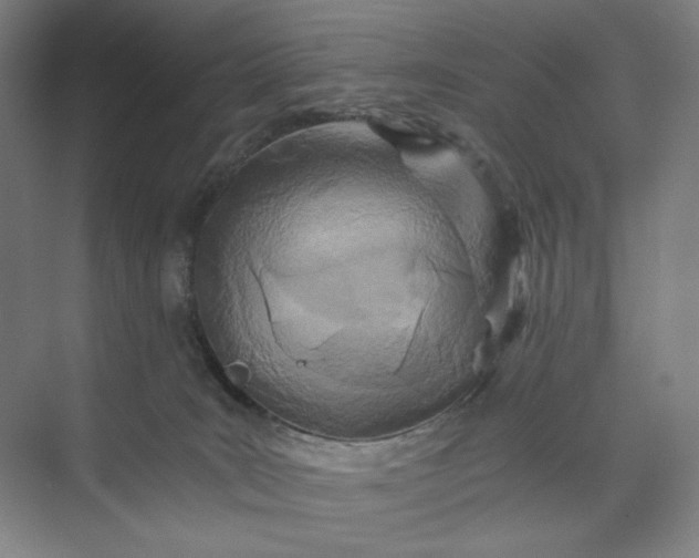 X0000071330035200607071644