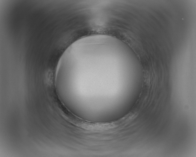 X0000071330036200607071644