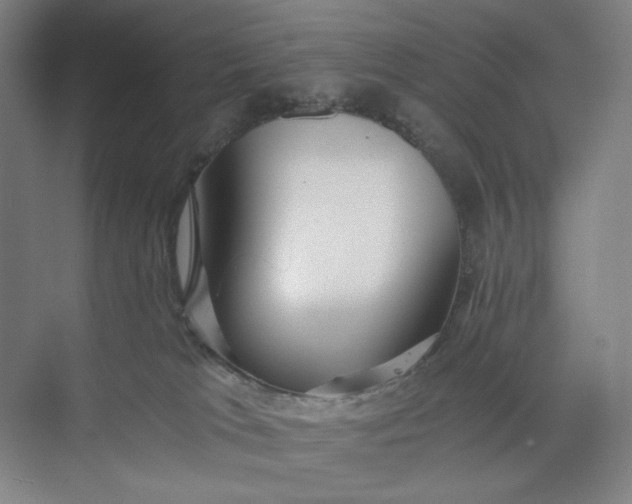 X0000071330037200607071644