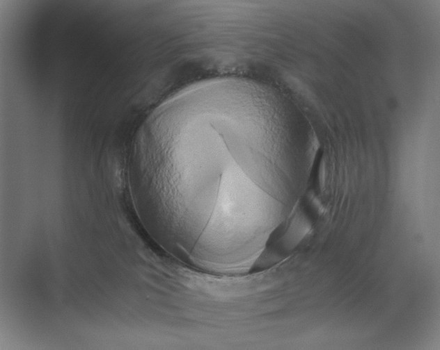 X0000071330039200607071644